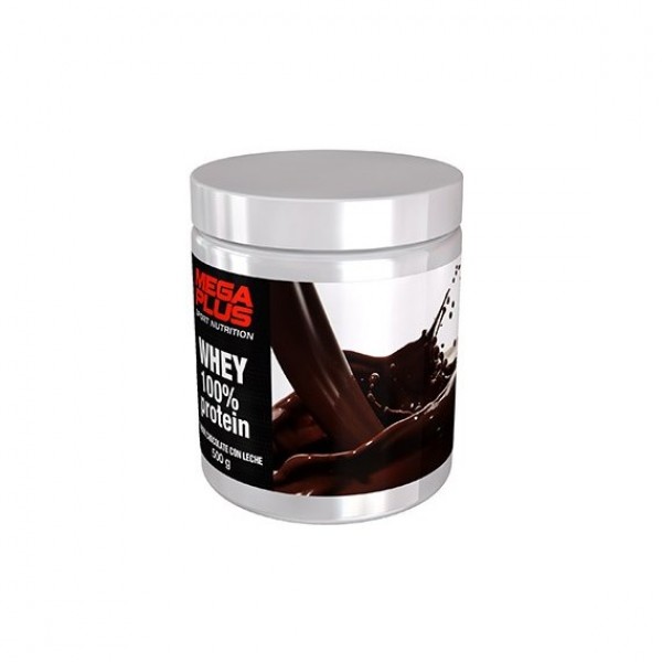 Whey 100% prot 500g choc/leche