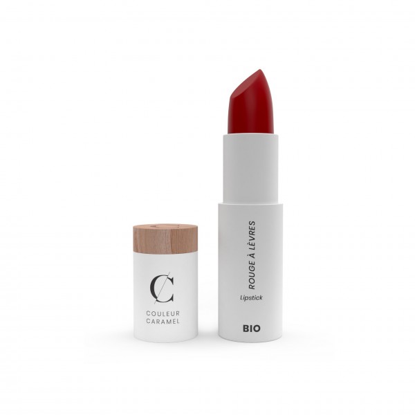 Maquillaje barra de labios 507 terracotta 1un